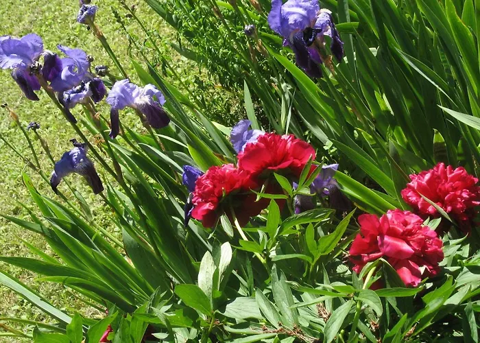 Bed & Breakfast Les Jardins De La Grange