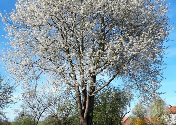 Les Jardins De La Grange Bed & Breakfast