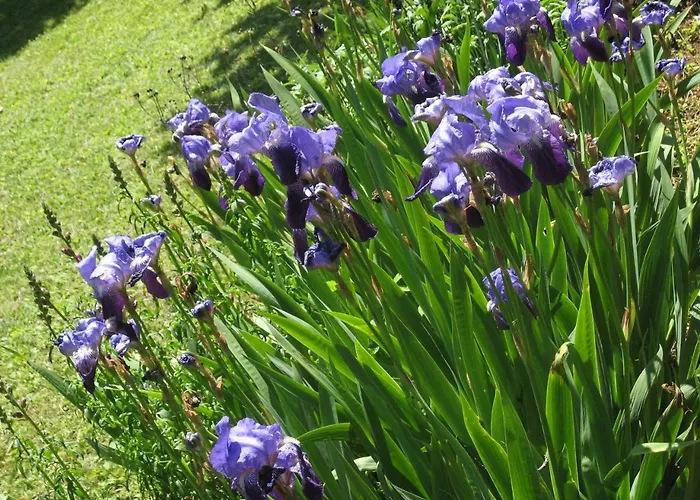 Les Jardins De La Grange Bed & Breakfast 3*